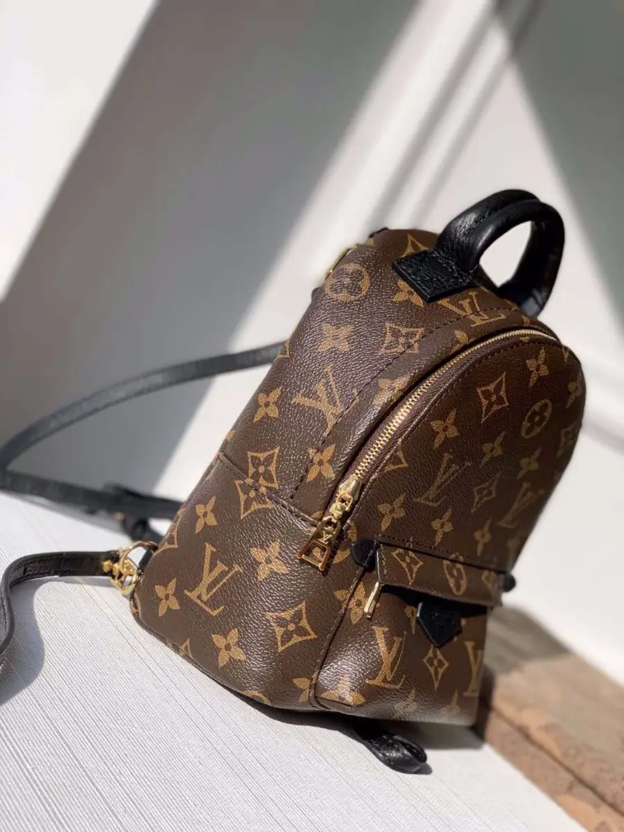 2020 monogram canvas palm springs mini backpack m44873 5 2020 monogram canvas palm springs mini backpack m44873 5