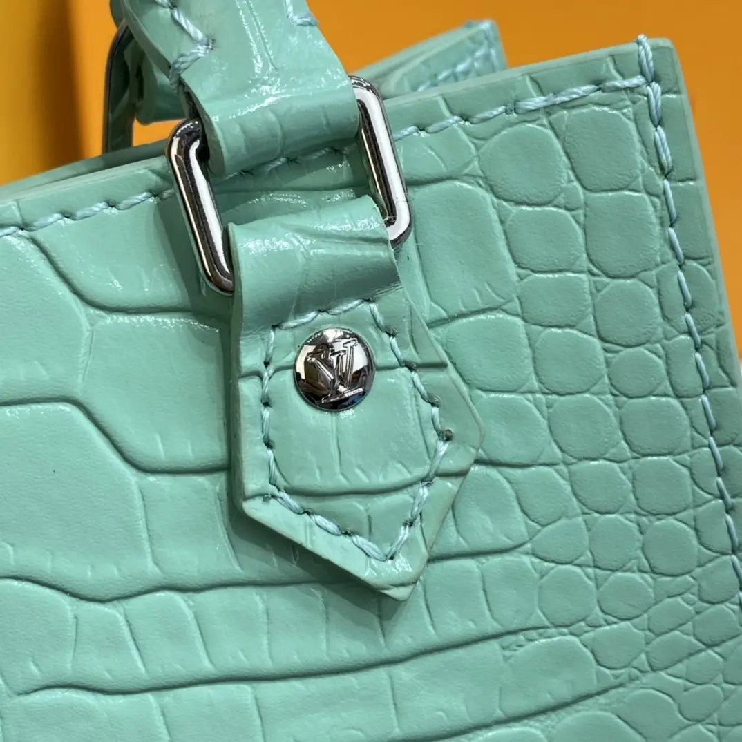 brilliant alligator leather petit sac plat bag n99487 10