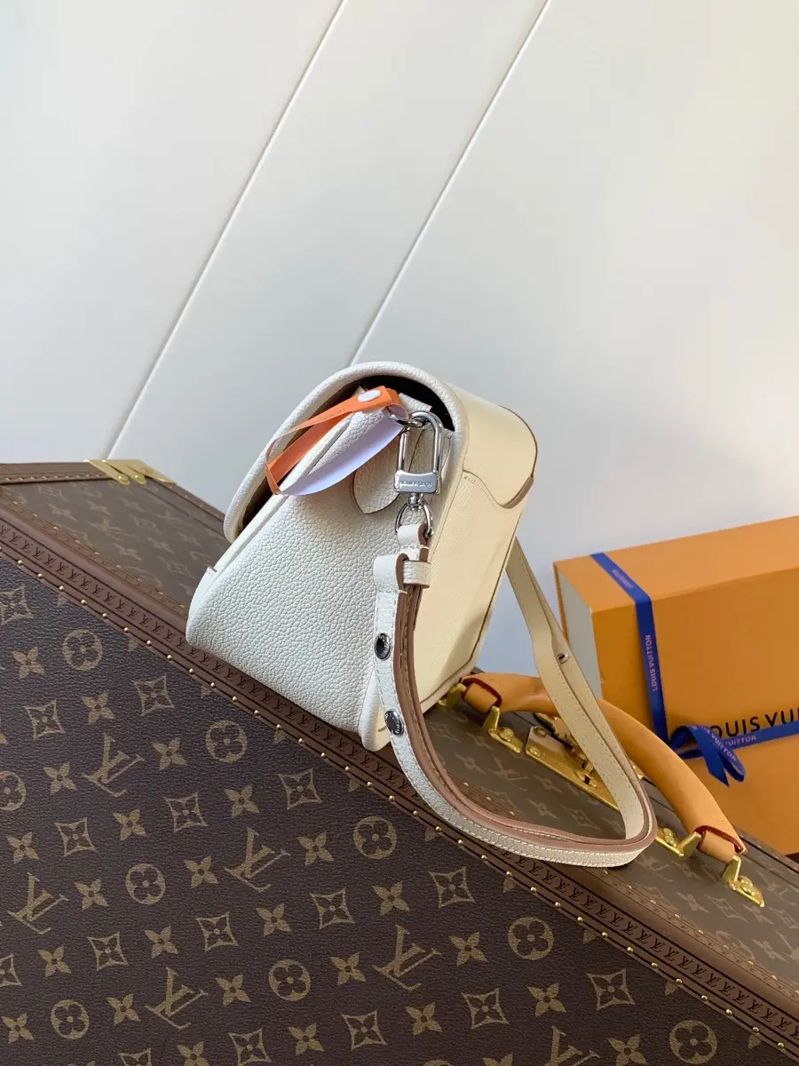 buci bag m59457 6