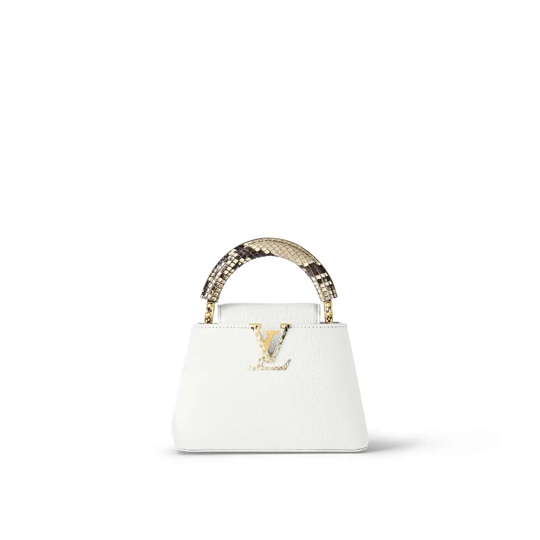 capucines mini handbag n98477 1