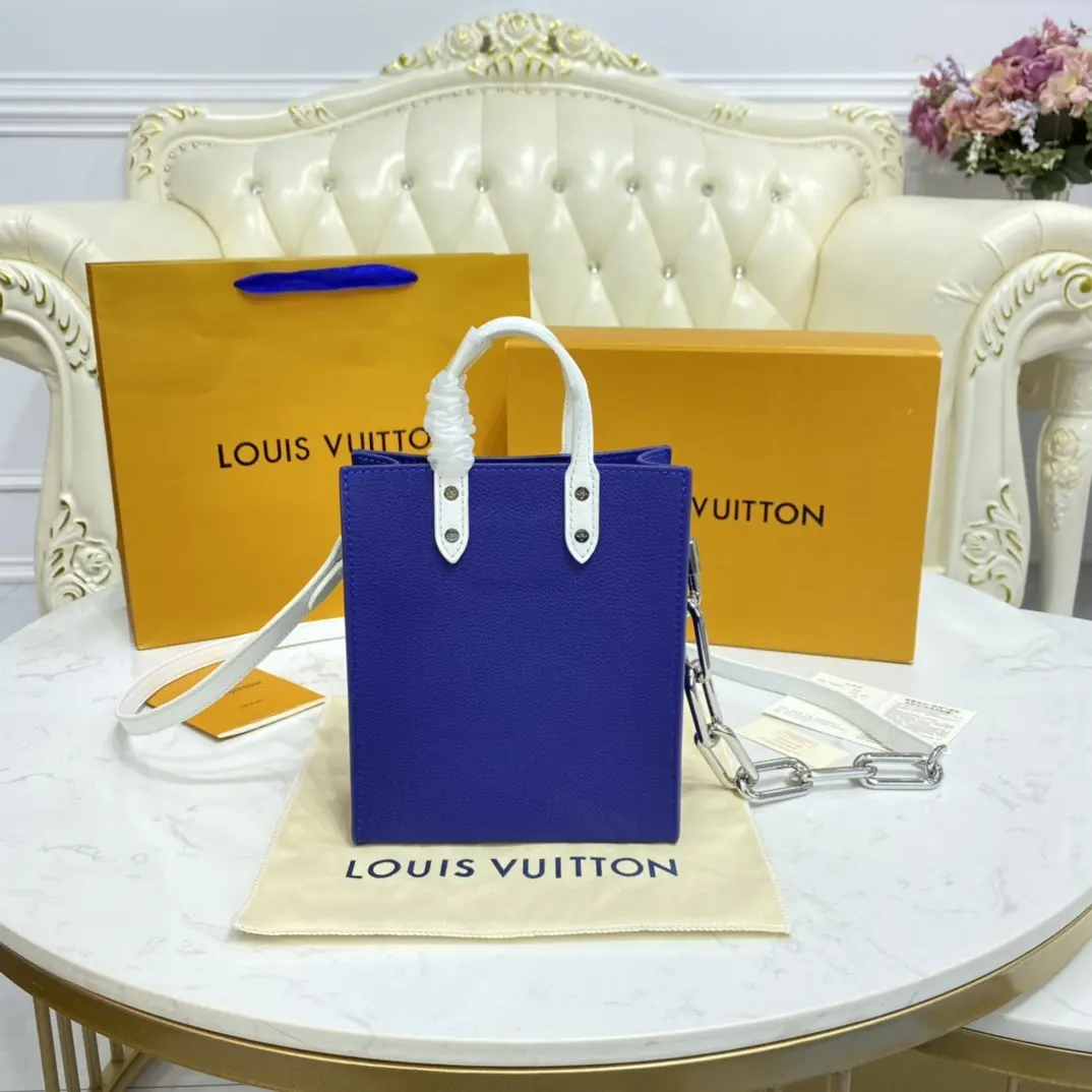 everyday lv sac plat xs bag m80841 4