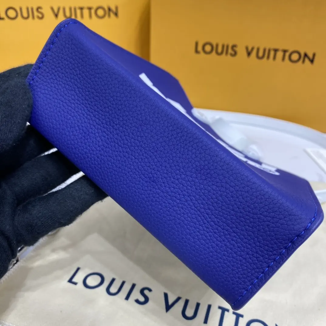 everyday lv sac plat xs bag m80841 6