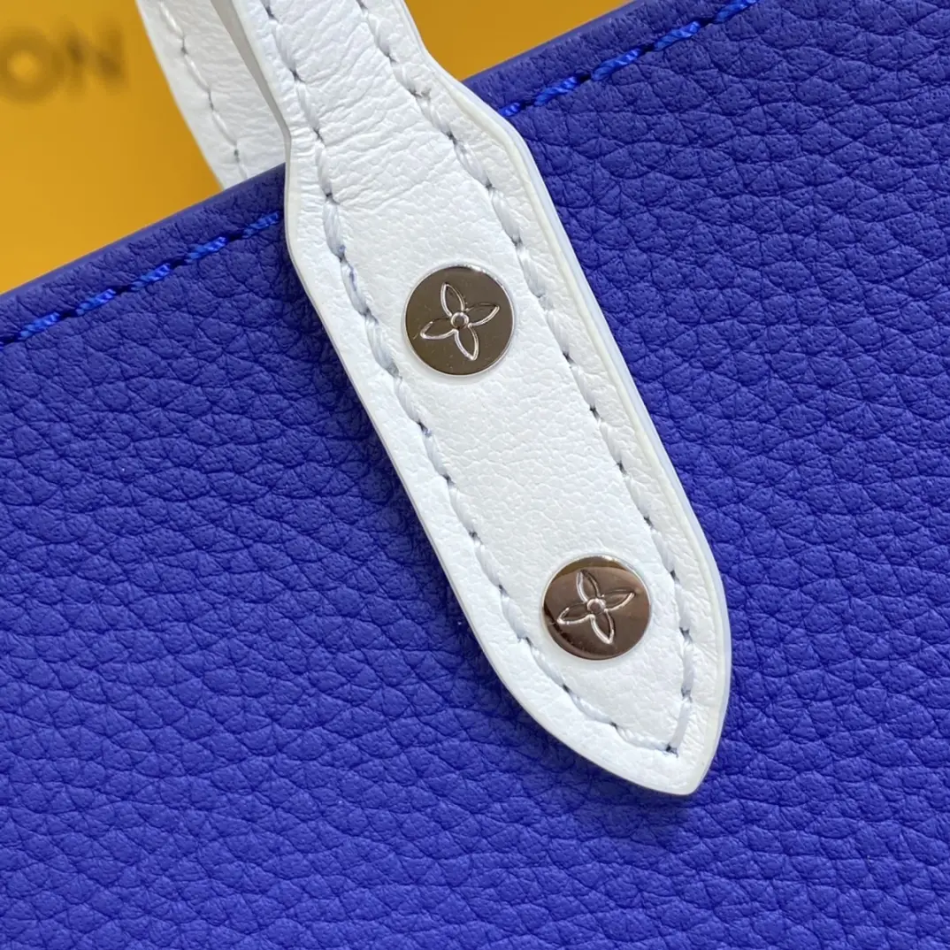 everyday lv sac plat xs bag m80841 8