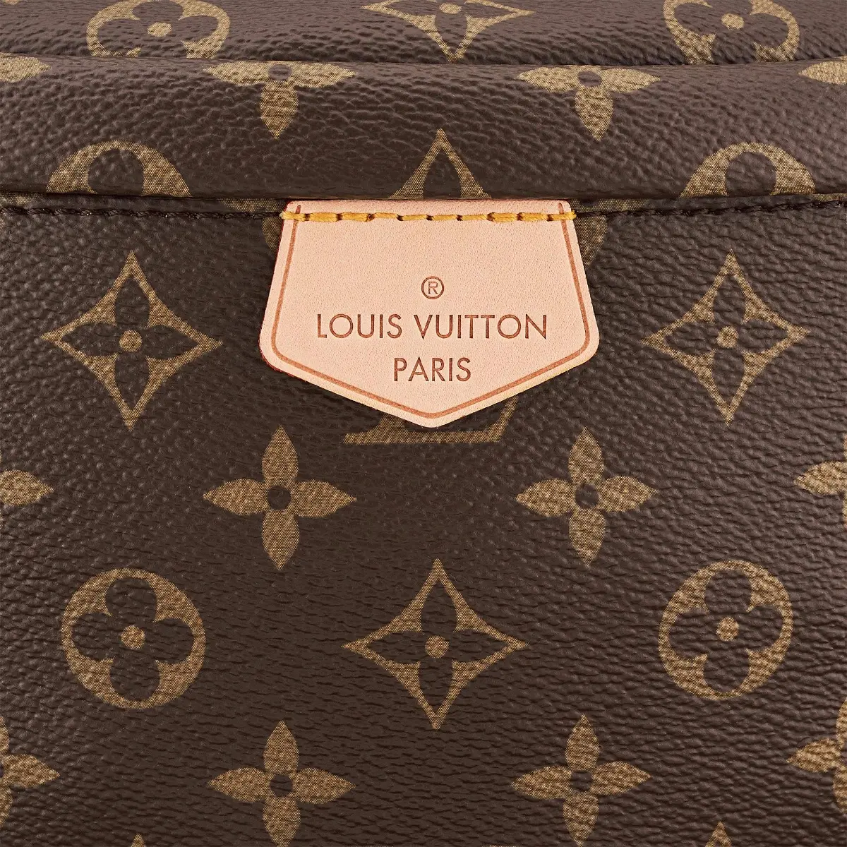 premium monogram canvas bumbag m43644 9